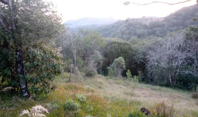Chácara 3,2 Ha Fazenda Souza - Foto 9