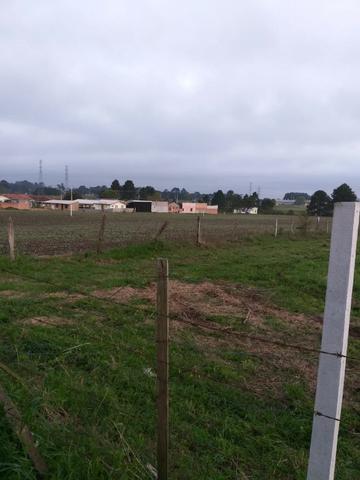 Vendo áreas lindas Costeira São José dos Pinhais Direto proprietario - Foto 6
