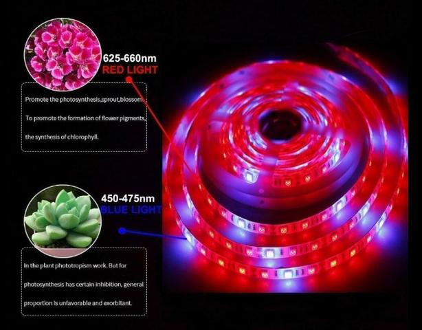 COD-CP325 1 Metro Fita Led Full Spectrum Indoor Grow 7red 1blue Cultivo Aquario - Foto 4