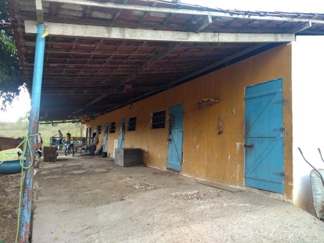 Vendo fazenda com 125 tarefas em Pojuca - Ba - Foto 6
