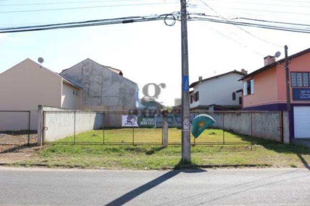 Terreno para alugar em Loteamento marinoni, Almirante tamandaré cod: * - Foto 2