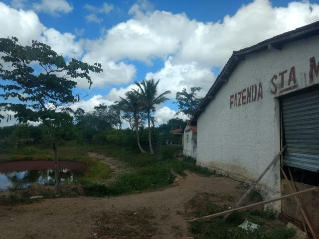 Propriedade de 13.5 hectares, escriturada, entre Glória do Goitá e Pombos-PE - Foto 4