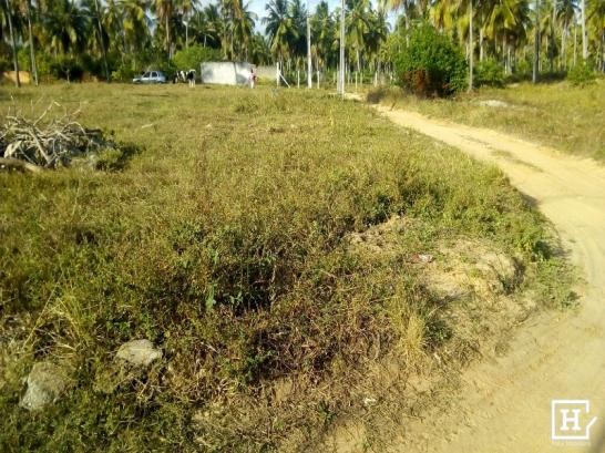 Terreno à venda - mosqueiro (zona de expansão) - Foto 2