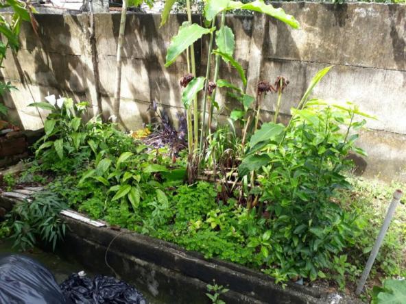Casa com lote de 420 metros . - Foto 18