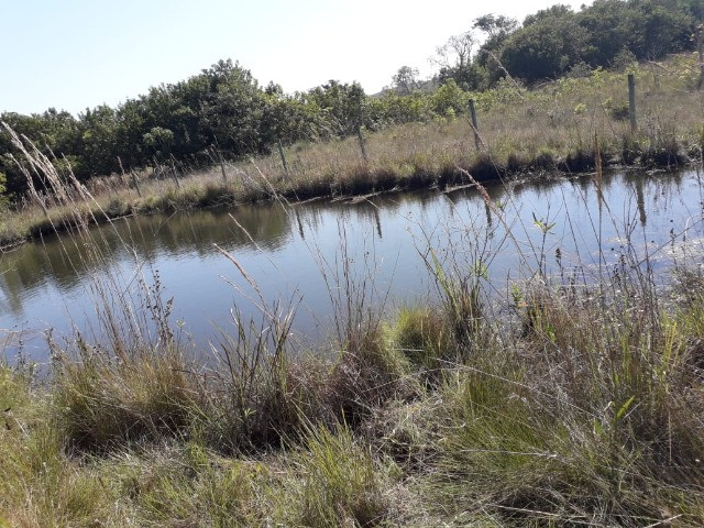 Linda Fazenda com 206 Hectares Campo Grande - Foto 10