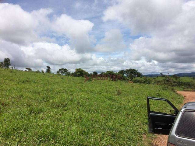 Fazenda com 4 dormitórios à venda, 310 alqueirão cidade de deus - cocalzinho de goiás/go - Foto 6