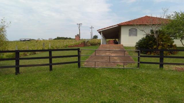 Vende-se uma Chácara de 1 alqueires na Água da Divisa - Foto 3