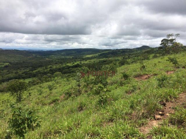 Fazenda com 4 dormitórios à venda, 310 alqueirão cidade de deus - cocalzinho de goiás/go - Foto 8