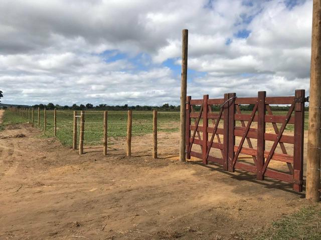 Chácaras palmeira - 2.000 m2 - entrega imediata - parcelas a partir de r$197,33 fixas