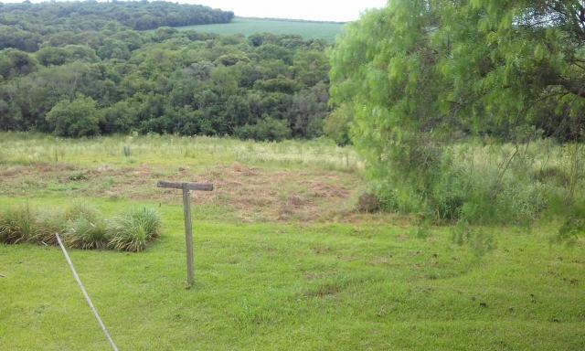 Terreno,chacara - Foto 5