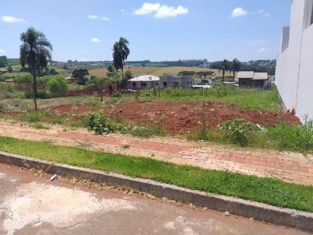 Terreno no bairro Bom Retiro em Chapecó/SC - Foto 3
