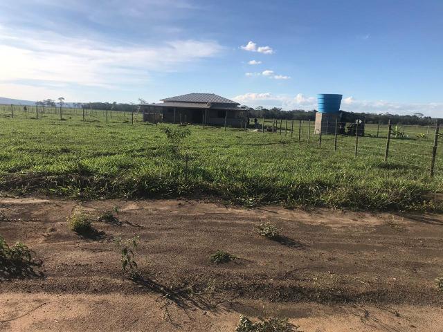 Chácaras palmeira - 2.000 m2 - entrega imediata - parcelas a partir de r$197,33 fixas - Foto 7
