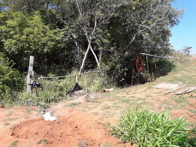 Linda Fazenda com 206 Hectares Campo Grande - Foto 16