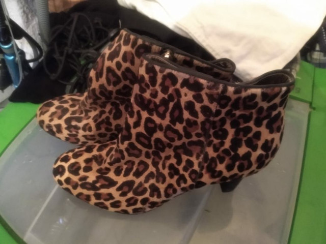 Bota
