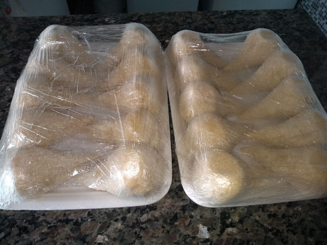 Fone * bandejas com 10 um. R$15,00