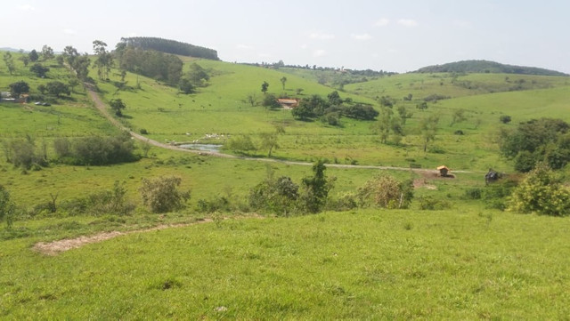 Vendo Excelente Sitio em Torre de Pedra ao lado Fazenda Sao Jorge - Foto 17