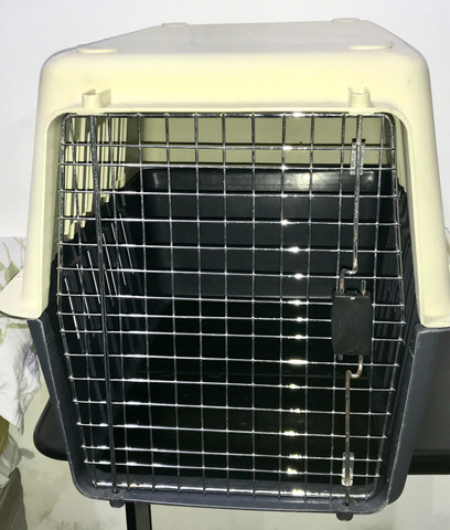 Caixa de transporte para cães - Foto 2