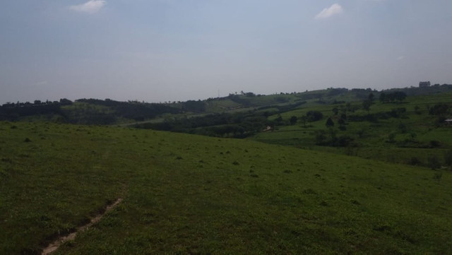 Vendo Excelente Sitio em Torre de Pedra ao lado Fazenda Sao Jorge - Foto 16