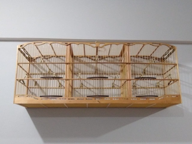 Gaiolas