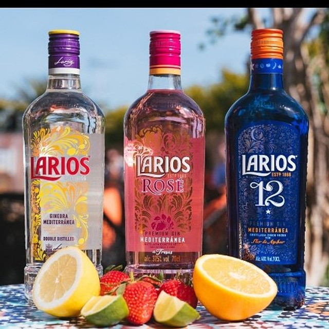 Gin/Bebidas Importadas - Foto 2