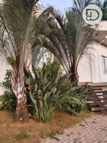 Chácara à venda, 2866 m² por R$ 2.300.000,00 - Estrada da Boiada - Vinhedo/SP - Foto 2