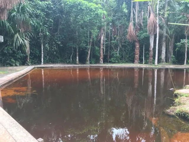 Vivenda das Palmeiras - Disponível para Aluguel - Foto 4