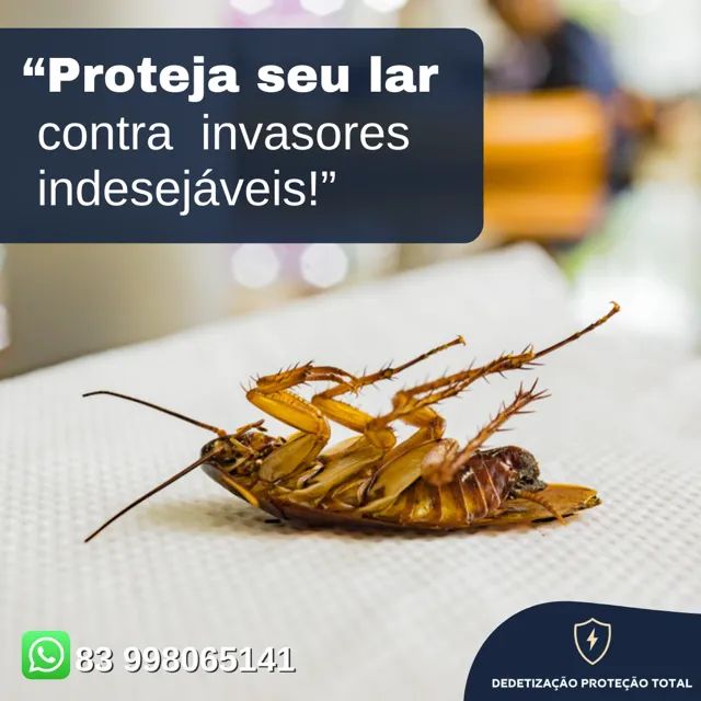 Dedetização controle de praga - Foto 5