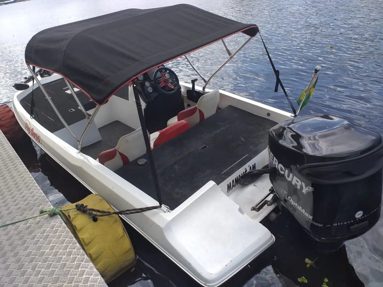 Lancha Bassboat  - Foto 4