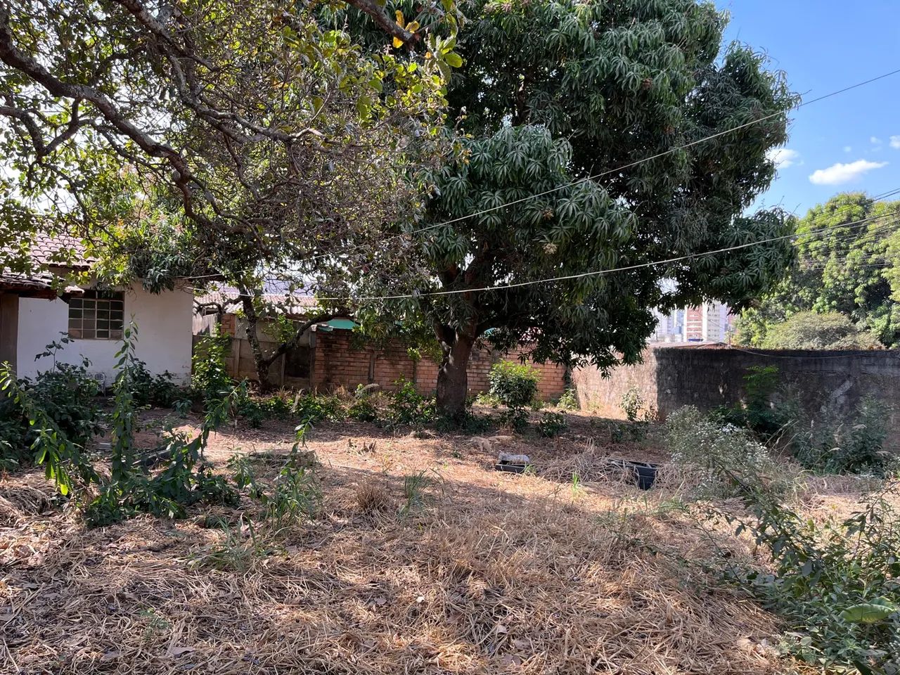 Terreno de 584 metros no setor Pedro Ludovico . - Foto 3