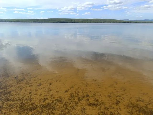 Chácara em Luzimangues. Beira do do Lago. - Foto 4