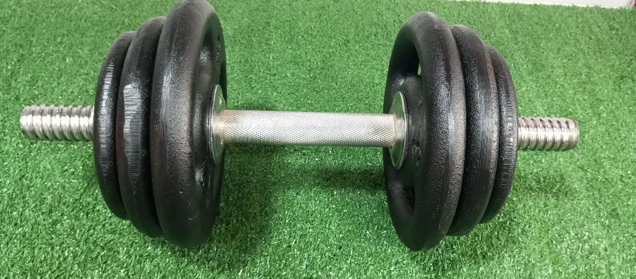 Halteres 12kg - Academia em casa - Foto 5