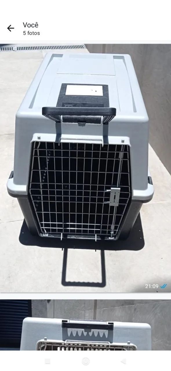 Caixa de Transporte para Cães - Foto 2
