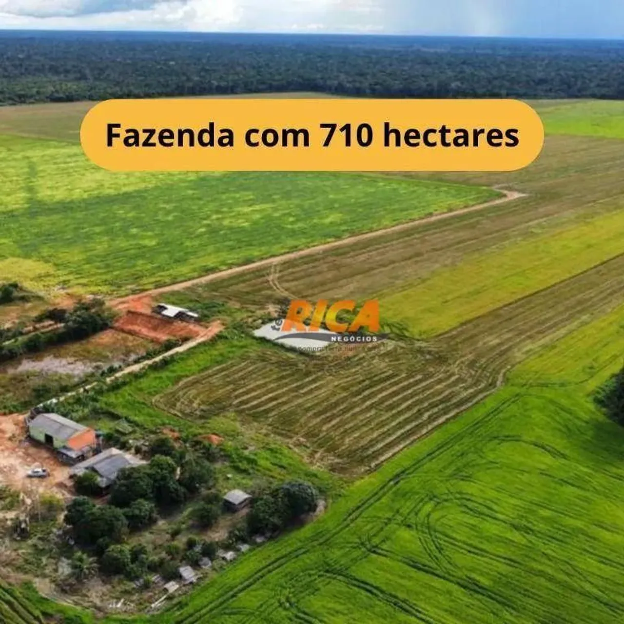 Vende-se Excelente Fazenda com 710 Hectares em Humaitá-AM!