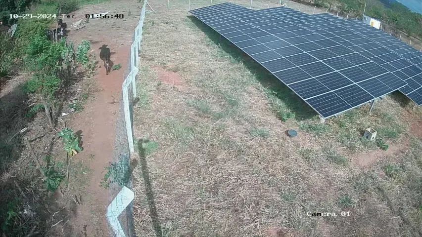 Usina Solar Fotovoltaica Investimento Retorno semelhante CDB 25% a.a Payback Menos 4 anos - Foto 3