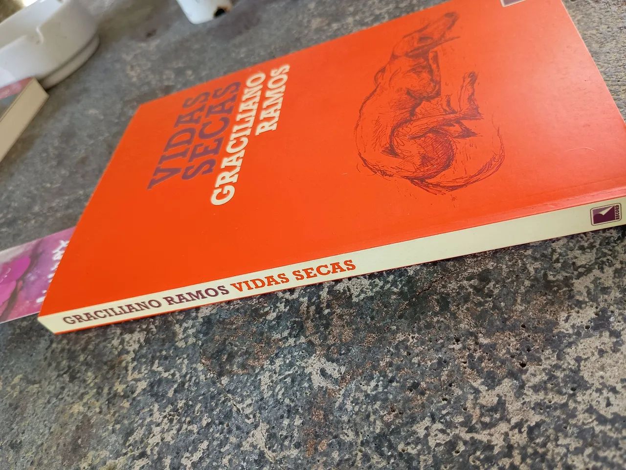 Livro vidas secas de Graciliano Ramos  - Foto 5
