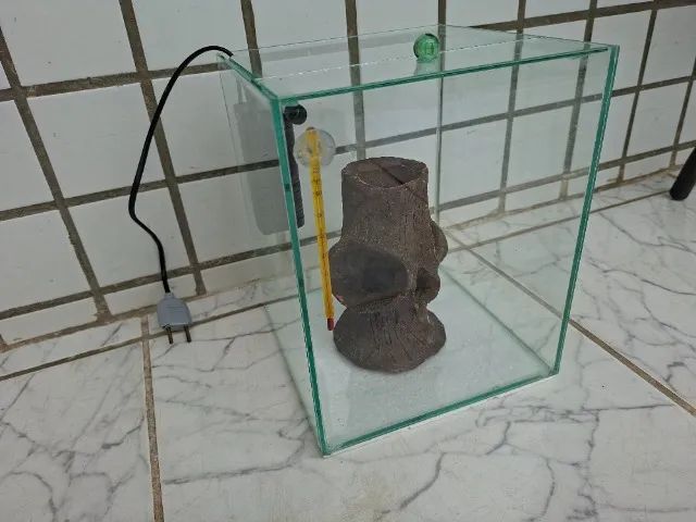 Aquário Cubo 13L com Filtro e Enfeite