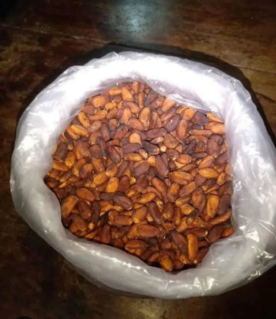 Sementes de Cacau Secas e Prontas para o Uso