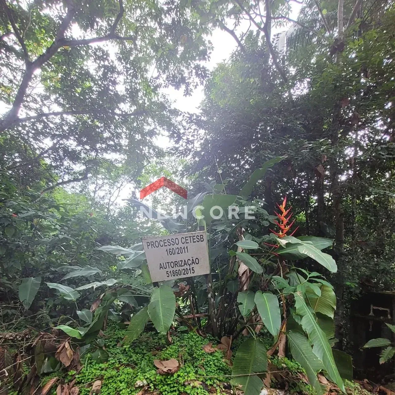 Lote em Rua das Guajuviras - Park Imperial - Caraguatatuba/SP