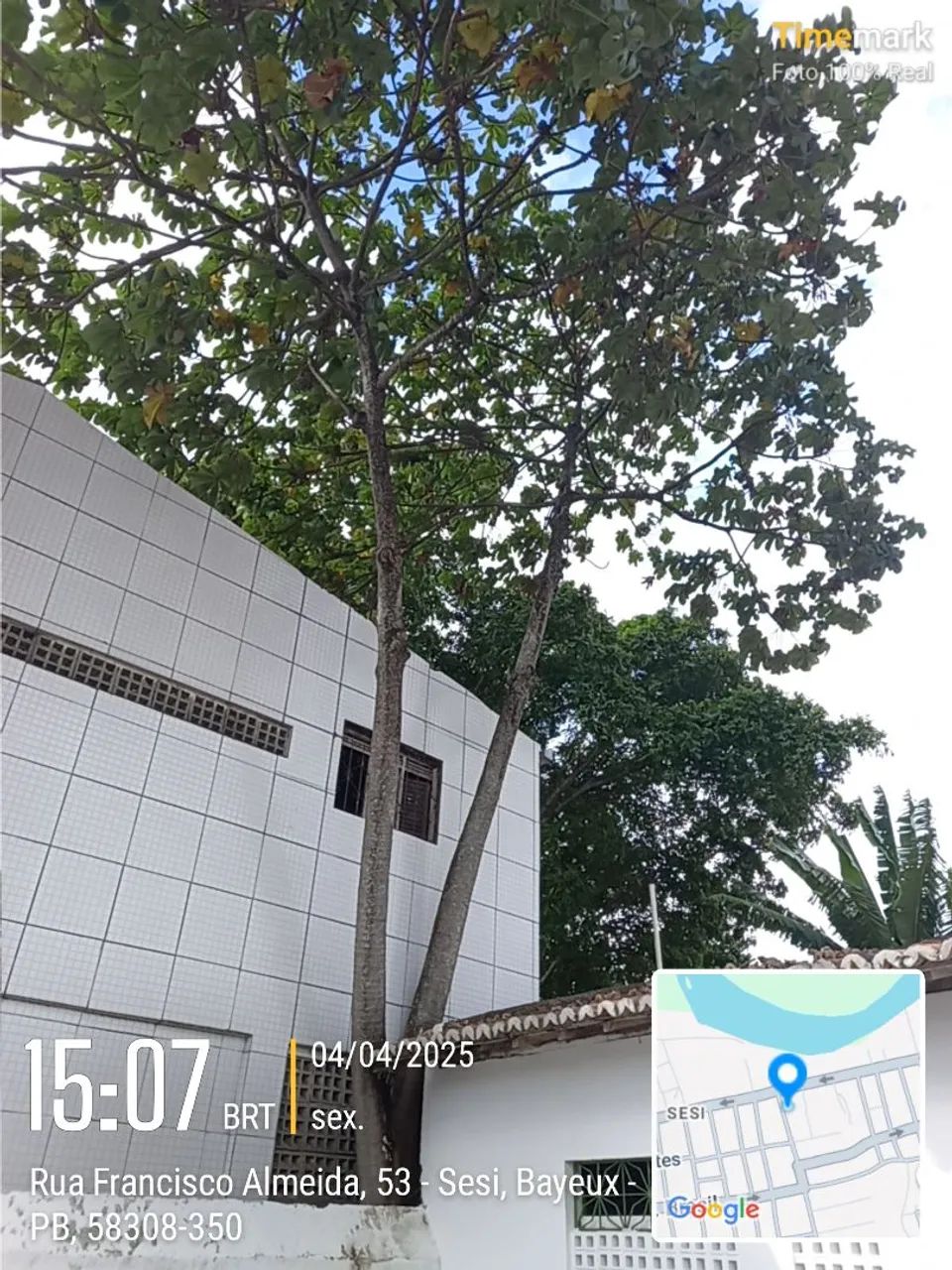 Poda de árvores de alto risco - Foto 3