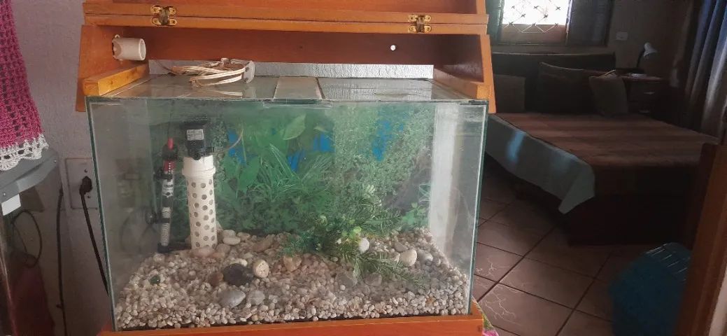 Aquario de 70litros mais bomba e termostato  e tampa de madeira 