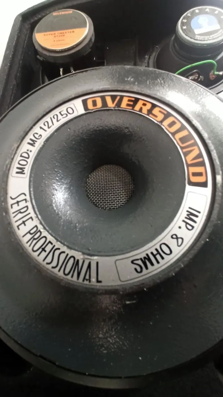 Caixa Leacs de 12'' com alto falante Oversound 450W RMS - Foto 5