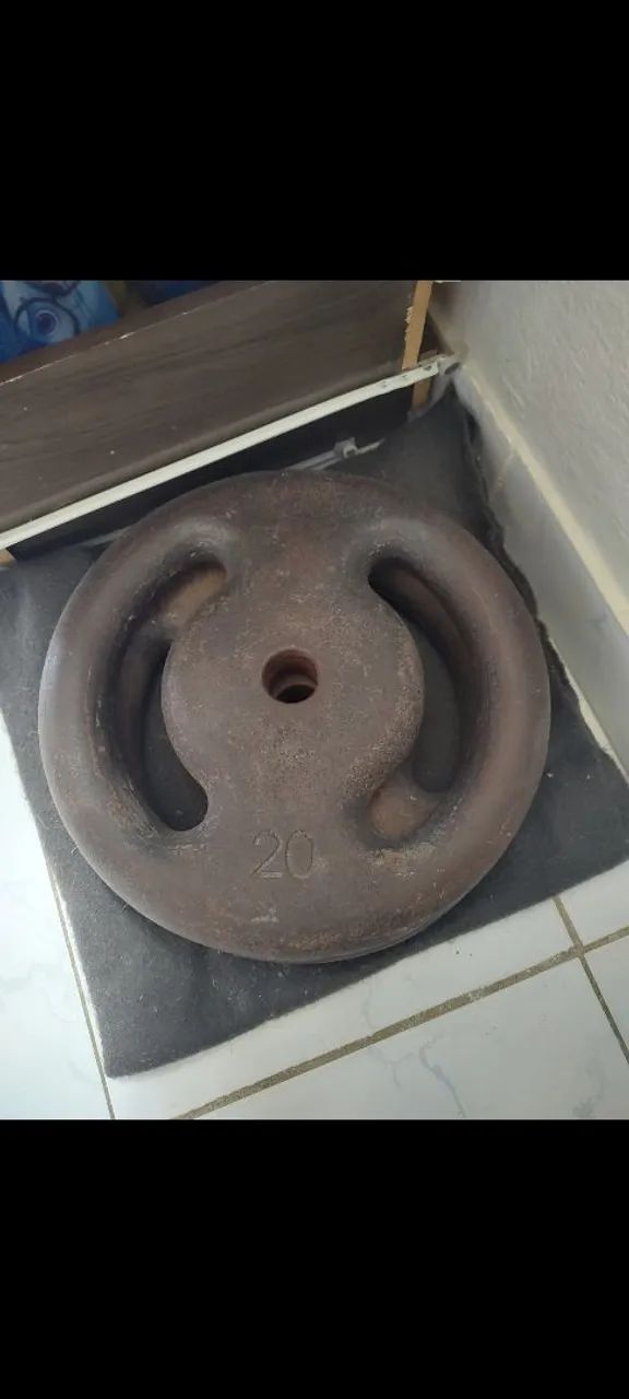 Desapego de 2 anilhas de 20kg cada 