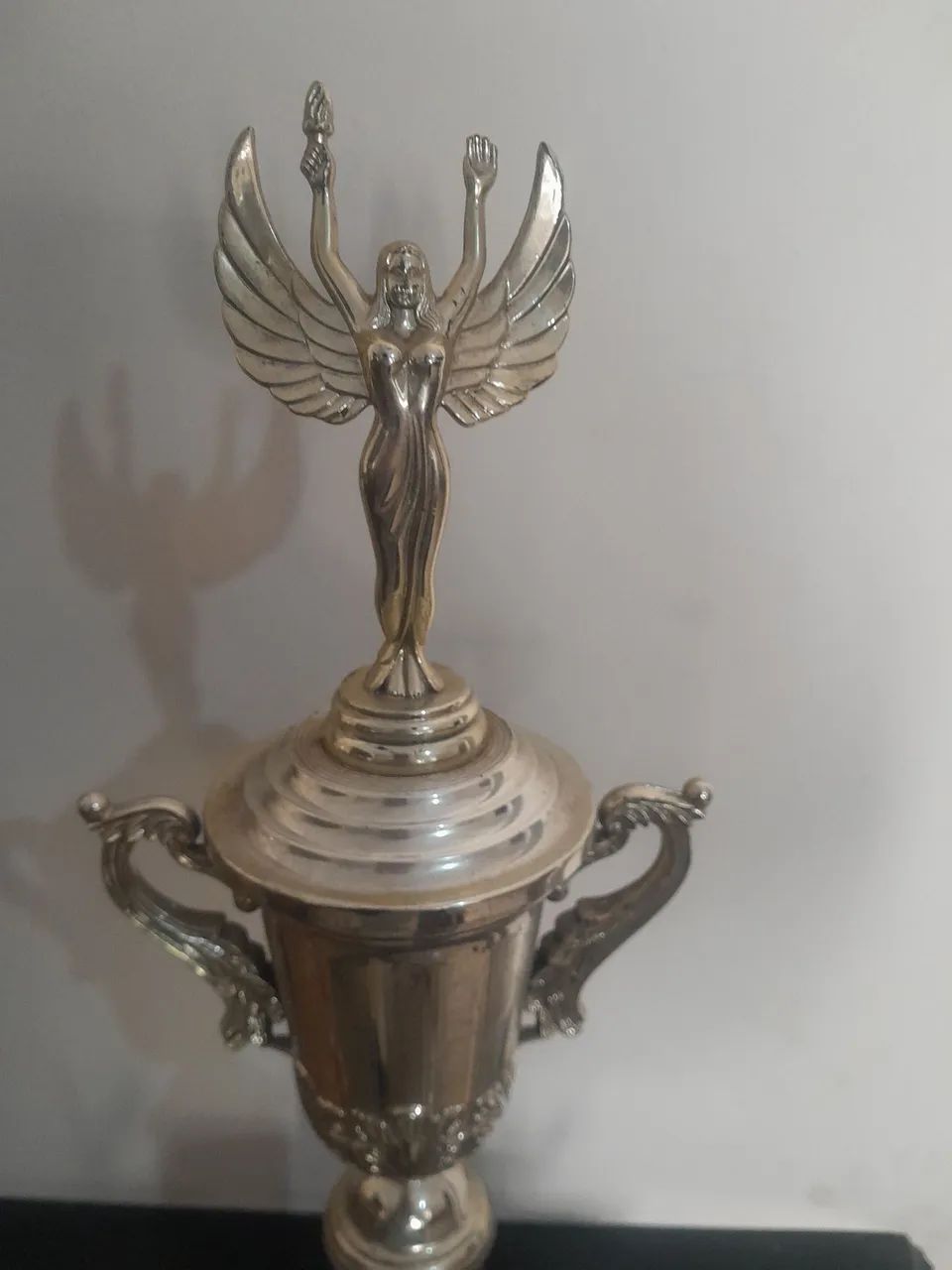 Troféu campeão 1994 - Foto 4
