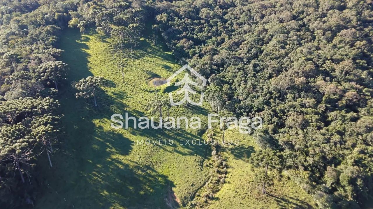Rancho Queimado - 50 Hectares com Vista para o Pôr do Sol - Foto 3