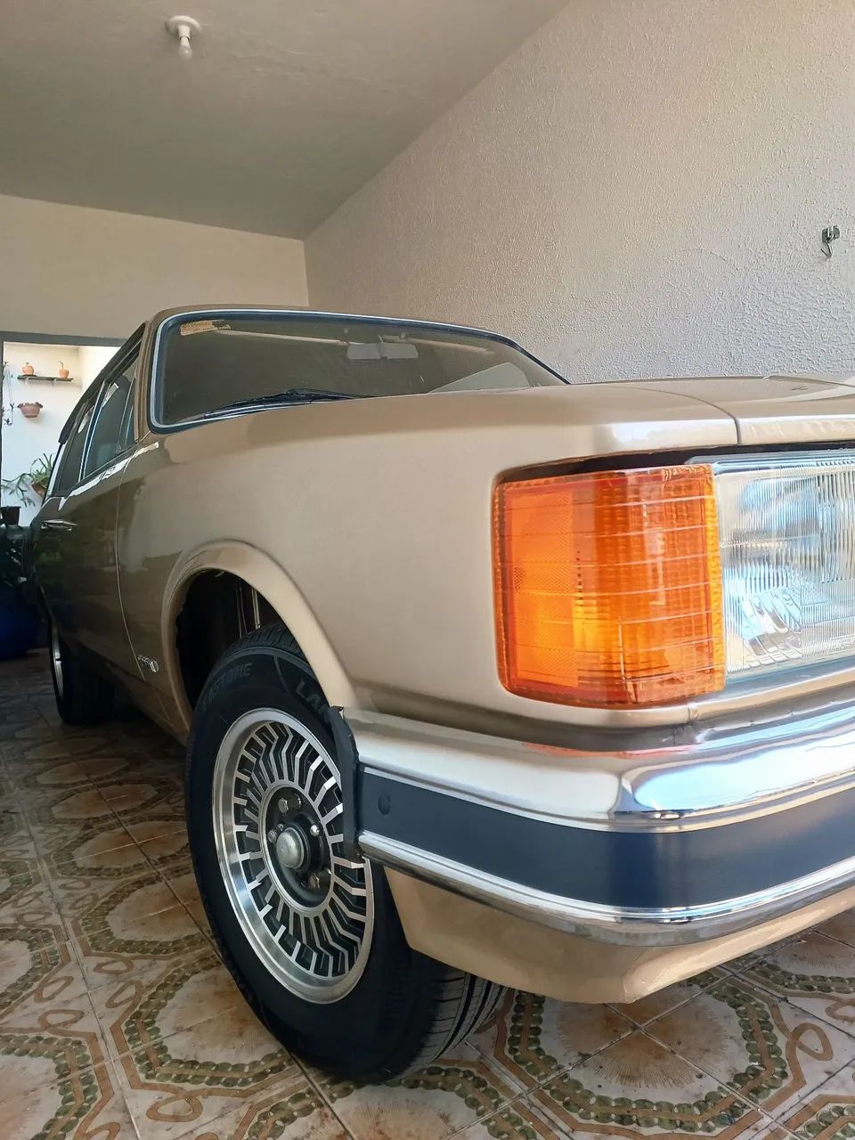 Chevrolet Caravan L/sl/s/ss 2.5/4.1/4.2 1980