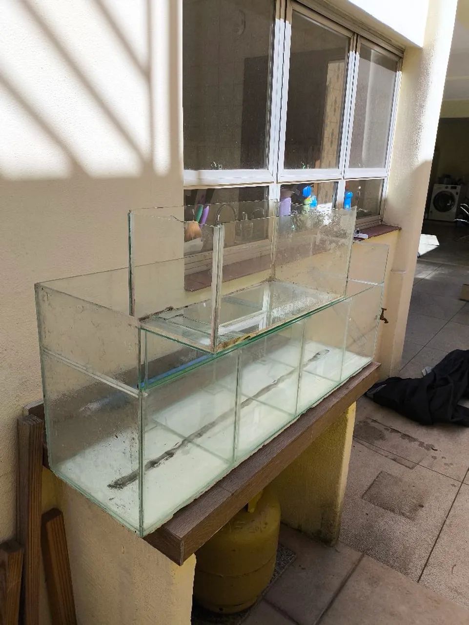 aquario