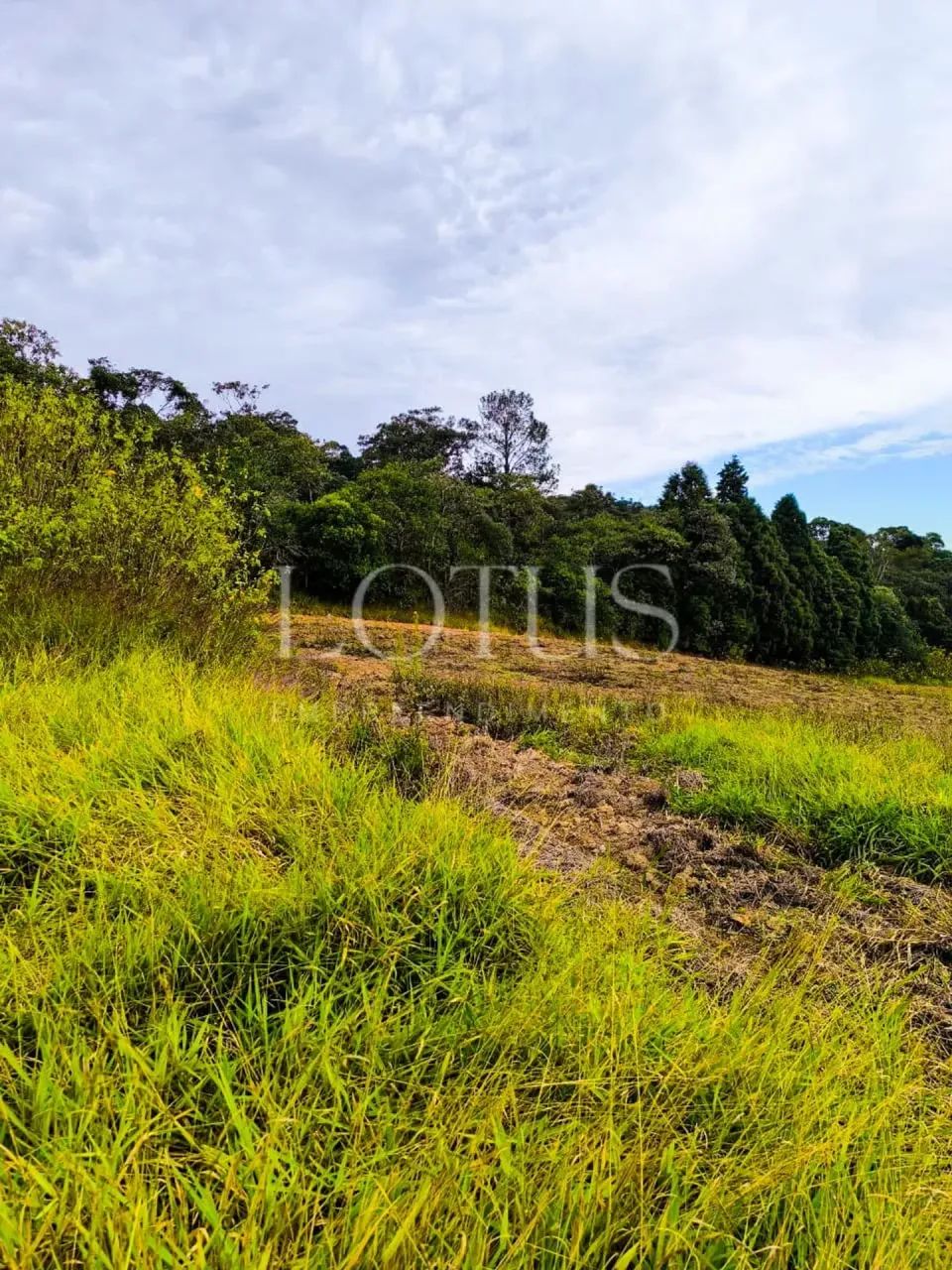 TERRENOS EM CAUCAIA DO ALTO COMÓDOS AO LADO - Foto 2