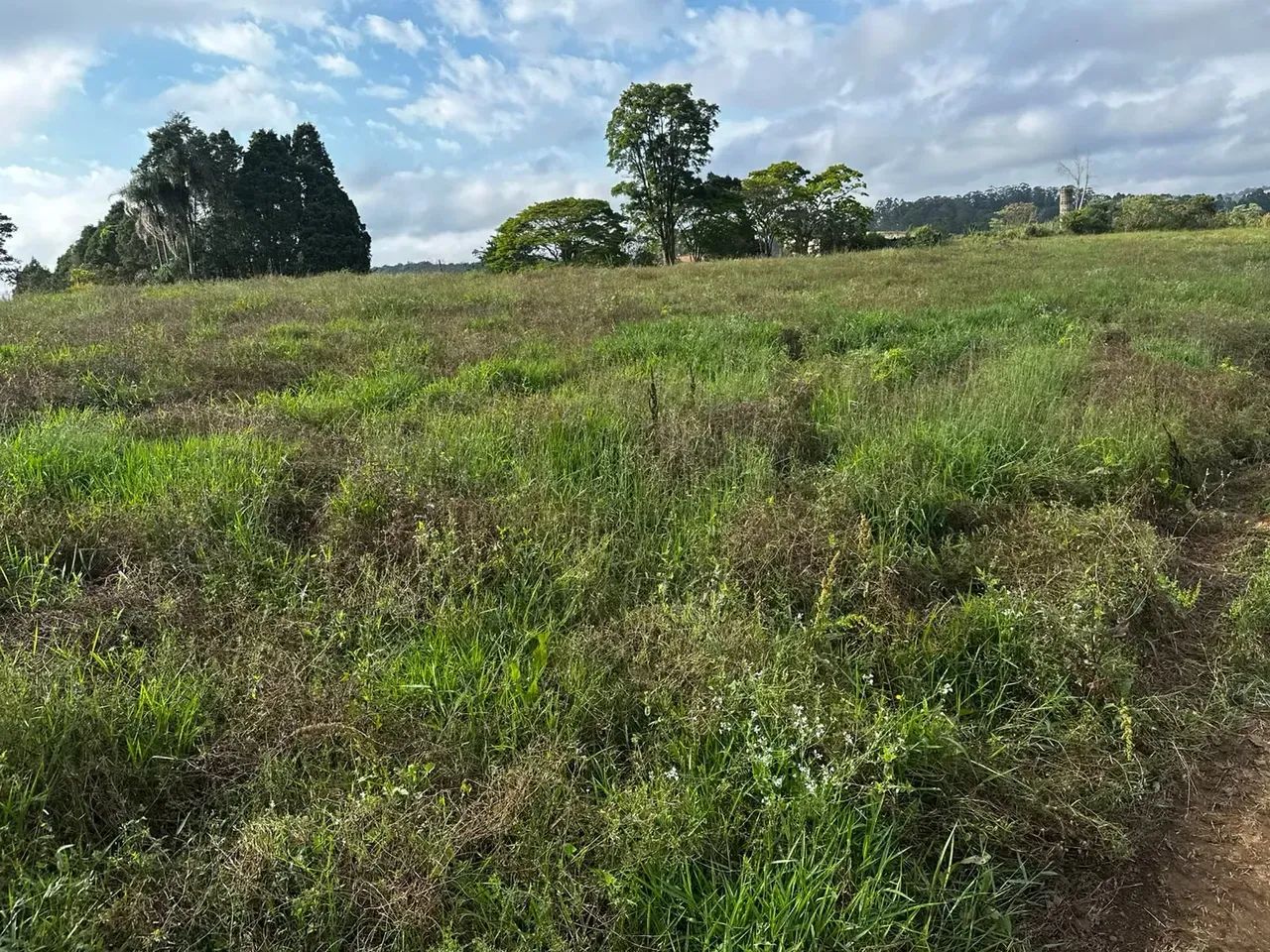 Terreno de 1.000 m²: Campo e Cidade Perto - Foto 3