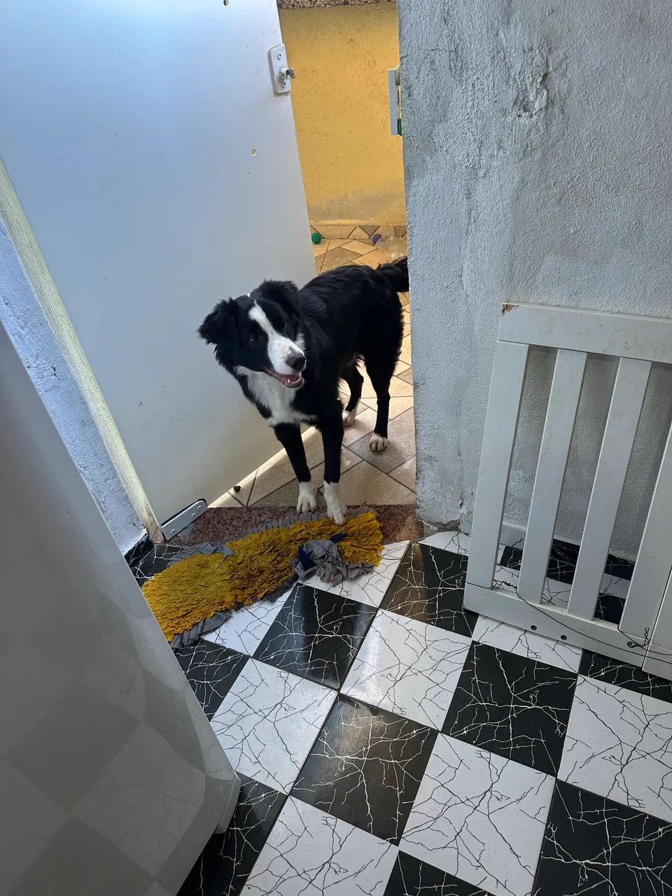 Doação  - Foto 2