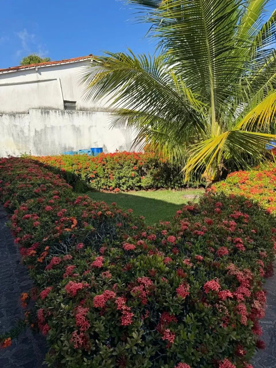 Chácara à venda no Mosqueiro - Foto 3
